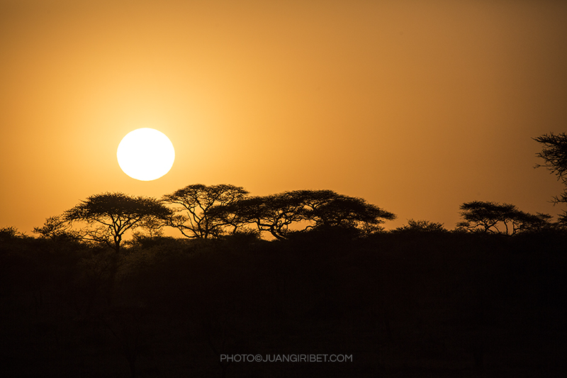 puesta de sol Serengeti