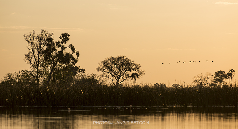 okavango_3